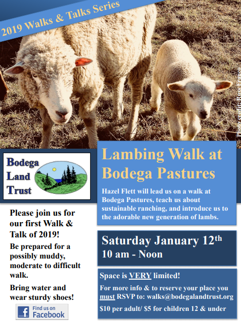 walks and talks 2019 001